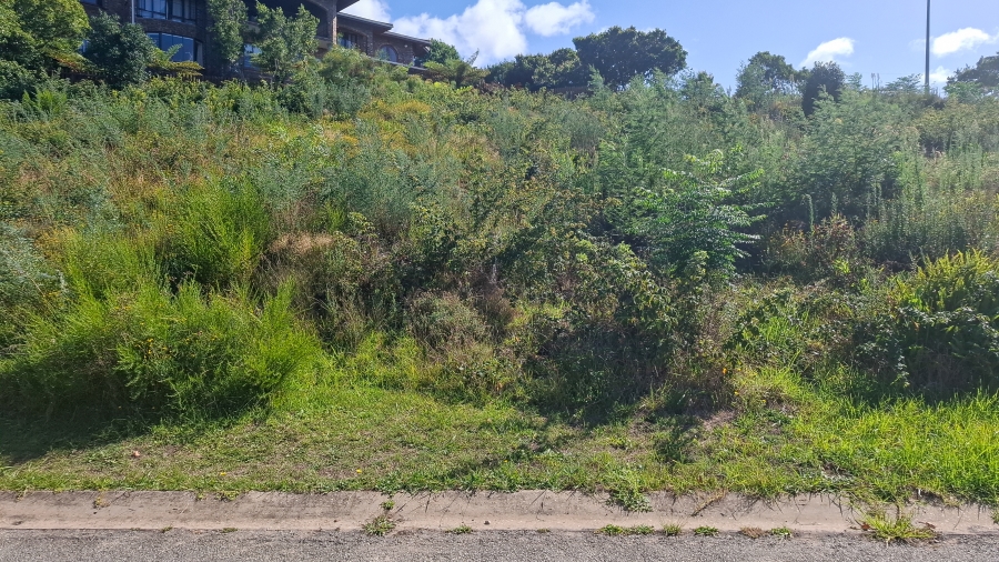 0 Bedroom Property for Sale in Knysna Heights Western Cape